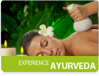 Ayurveda authentic experience in Kerala, India: Ayurvedic treatments in exclusive boutique Resort